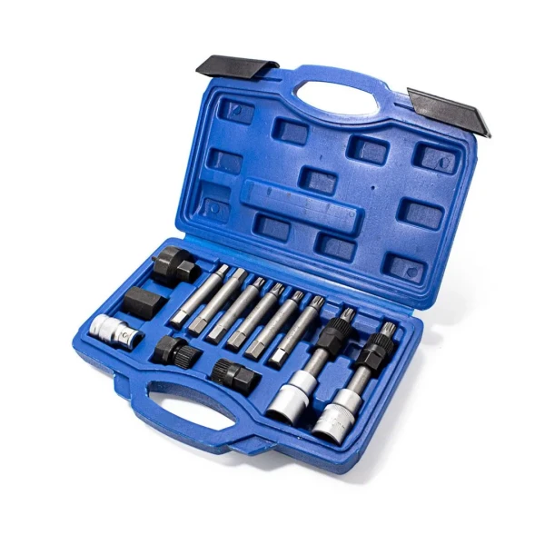 Набор для снятия шкивов генераторов:1/2''биты: М10, Т50х110мм, 10мм, биты: М8, М10, Н8, Н10, Т40, Т50x75мм, битодержатель 1/2''хF10мм, (13пр.) в кейсе.