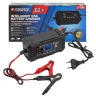 Устройство зарядное импульсное для АКБ с жидкокристаллическим дисплеем (12В,автостоп,функция восст.-я,защита от превыш.напряж. и короткого замыкания)