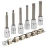 Набор головок-бит Torx 6-лучевых, 6 пр.(Т30,Т40,Т45,Т50,Т55,Т60, L-100мм) 1/2'', на планке