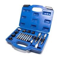 Набор для снятия шкивов генераторов 18пр(1/2'':М10х140,М10х110,Т50х110мм,3/8'':М10х90мм,10мм:М10х65мм,М8,М10,Т50,Т40,Н8,Н10х75мм,1/2''(F)х10мм(F)в кейсе.