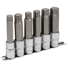 Набор головок-бит разнопрофильных Spline&Torx, 6 пр.(М16, М18,Т70,Т80,Т90,Т100, L-100мм) 1/2'', на планке