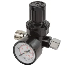 Регулятор давления воздуха 1/4''(F)x1/4''(M)+б/с поворотный(0-10bar,раб. температура 5°-60°)