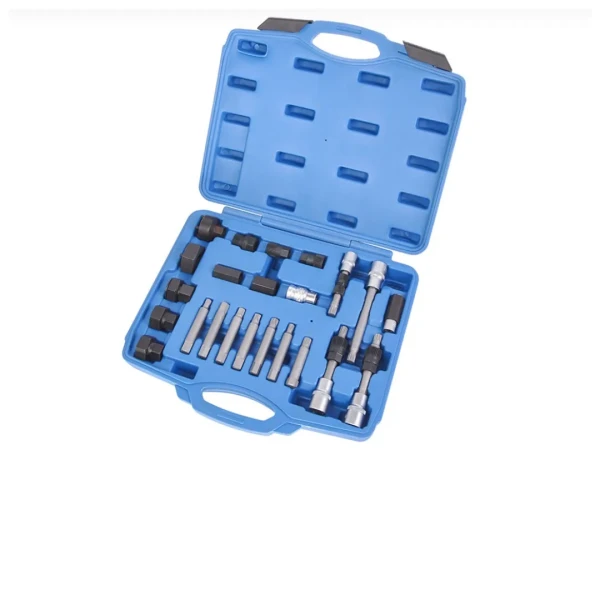 Набор для снятия шкивов генераторов:1/2''биты: М10, Т50х110мм, 10мм, биты: М8, М10, Н8, Н10, Т40, Т50x75мм, битодержатель 1/2''хF10мм, (24пр.) в кейсе.