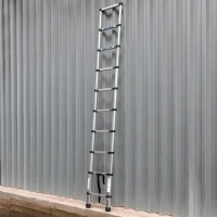 Лестница телескопическая алюм. бытовая 2.9м (10 ступ.)