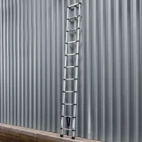 Лестница телескопическая алюм. бытовая 3.2м (11 ступ.)