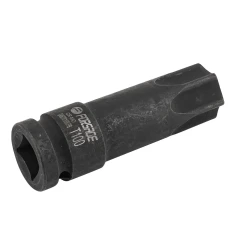 Головка-бита TORX ударная T100,1/2''