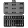 Набор головок 20пр., 1/2''(6гр.) (короткие 38мм/глубокие 78мм: 10-19мм) в пласт.кейсе