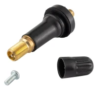 Вентиль для бескамерных шин