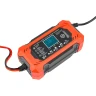 Устройство зарядное импульсное для АКБ с жидкокристаллическим дисплеем (12В,автостоп,функция восст.-я,защита от превыш.напряж. и короткого замыкания)